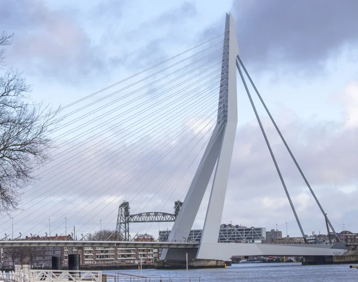 Erasmusbrug Rotterdam